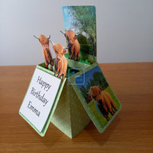 Load image into Gallery viewer, Highland cow pop up box card