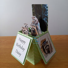 Load image into Gallery viewer, Raccoon / trash panda card