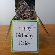 Load image into Gallery viewer, Raccoon / trash panda card