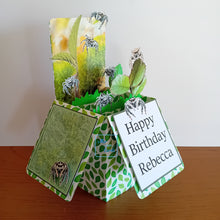 Load image into Gallery viewer, Jumping spider pop up box card
