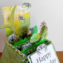 Load image into Gallery viewer, Jumping spider pop up box card