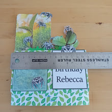 Load image into Gallery viewer, Jumping spider pop up box card