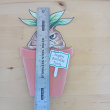 Load image into Gallery viewer, Mandrake notecard