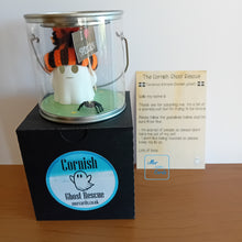 Load image into Gallery viewer, Rescue Ghost with spider