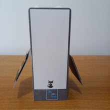 Load image into Gallery viewer, Funny, bad taste anti Valentine's cat & cupid pop up box card