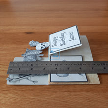 Load image into Gallery viewer, Anatomical pop up box card