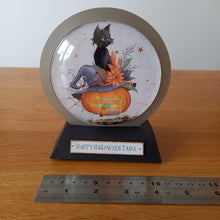 Load image into Gallery viewer, Personalised witch's cat snowglobe