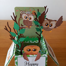 Load image into Gallery viewer, Owl pop up box card
