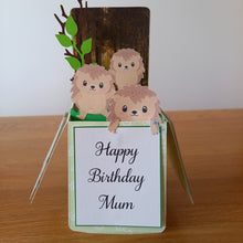 Load image into Gallery viewer, Hedgehog pop up box card