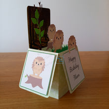 Load image into Gallery viewer, Hedgehog pop up box card
