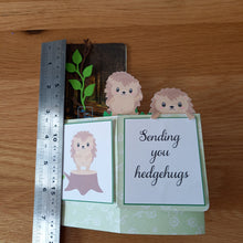 Load image into Gallery viewer, Hedgehog pop up box card