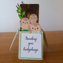 Load image into Gallery viewer, pop up box card with cute hedgehogs