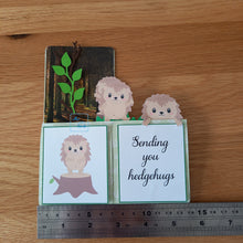 Load image into Gallery viewer, Hedgehog pop up box card