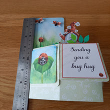 Load image into Gallery viewer, Gnome gonk ladybird ladybug pop up box card