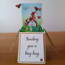 Load image into Gallery viewer, pop up box card with a gnome and ladybirds