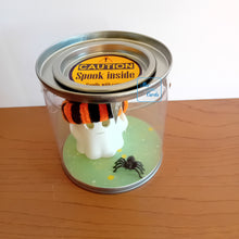 Load image into Gallery viewer, Rescue Ghost with spider