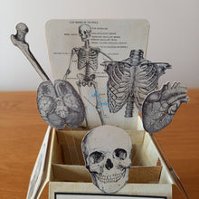 Load image into Gallery viewer, Anatomical pop up box card
