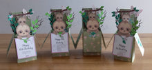 Load image into Gallery viewer, Sloth and butterfly pop up box greetings card
